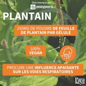 Parakeya - Plantain |Confort ORL et Respiratoire | Complément alimentaire|60 Gélules Millepertuis perforé