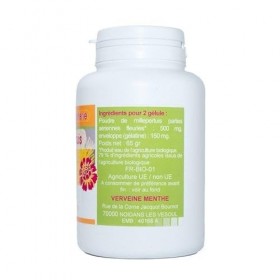 GELULES MILLEPERTUIS plante 200 gélules dosées à 250 mg.