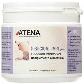 Herecium 250g poudre biologique MRL Herecium erinaceous 
