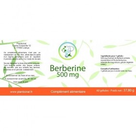 Planticinal Berbérine - 1 pot