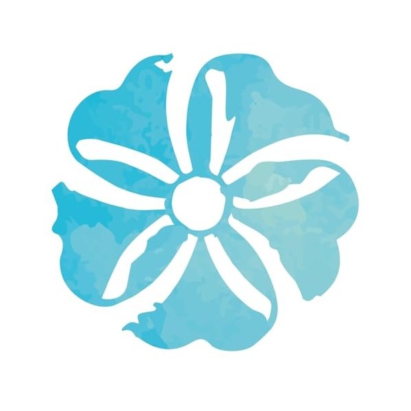 Terpenic Cyprès de Provence 10 ml 10 ml