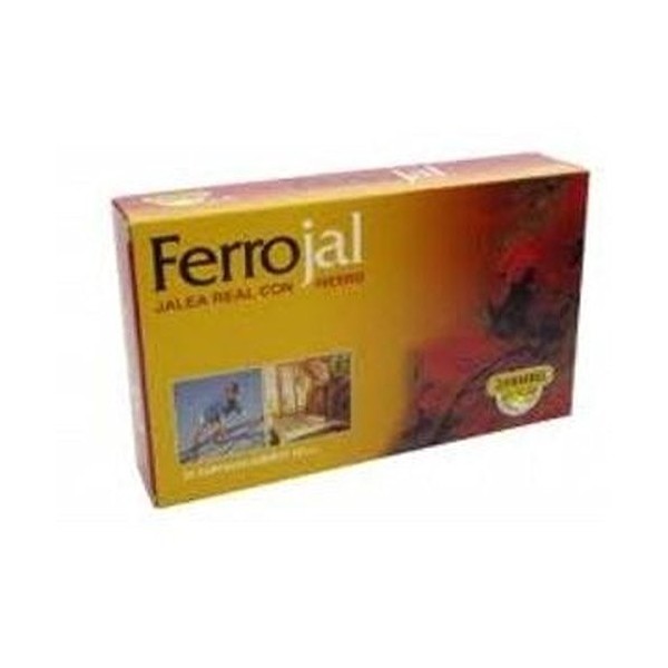 Ferrojal 20 ampoules de Herdibel