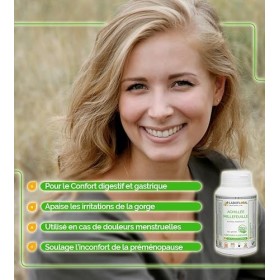 Achillée Millefeuille Labofloral 1000 gélules dosées à 200 mg - Complément alimentaire - Digestion, respiration - Fabriqué en