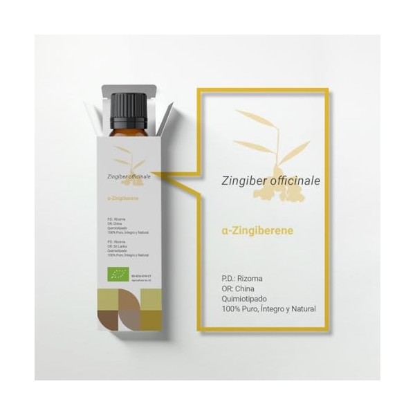 Nutricosmetics - Terpenic Jengibre 30ml Bio