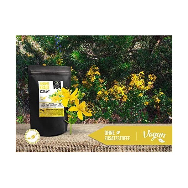 Extrait de millepertuis | 100 g de poudre | Sans additifs | Poudre dextrait Hypericum perforatum | Hautement dosé naturel vé