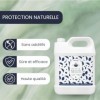PLANTAWA Huile de Neem 2L | Ingrédient Végétal Polyvalent | Pressée à Froid | Sans Parfum ni Additifs | À Diluer pour Formula