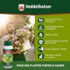 Veddelholzer 1000 ml dhuile de neem de qualité supérieure pressée à froid 100% naturelle, kit complet avec émulsifiant natur ...
