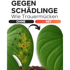 Veda Naturals® Huile de neem 100 ml pressée à froid - vierge dInde - Ayurveda - Avec pompe de pulvérisation - Sans coloran