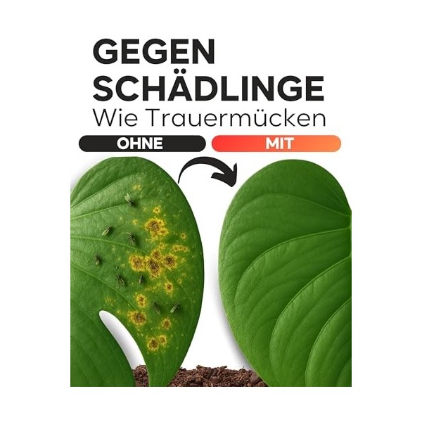 Veda Naturals® Huile de neem 100 ml pressée à froid - vierge dInde - Ayurveda - Avec pompe de pulvérisation - Sans coloran