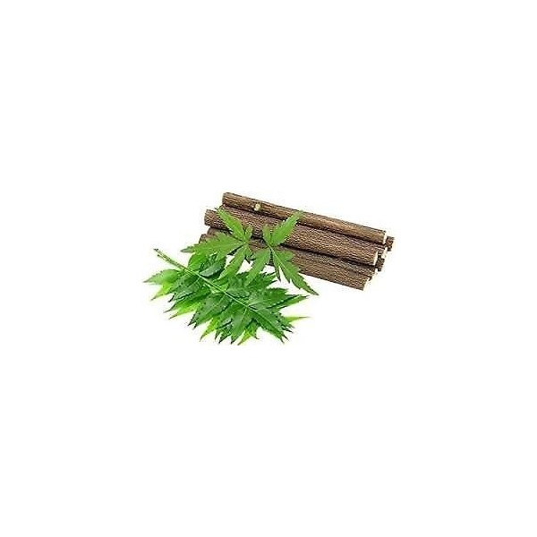 Bâtonnets à mâcher au margousier ou Datun de margousier pour des dents et des gencives saines 100 bâtons 100 % efficaces