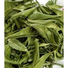 Feuilles de margousier séchées, feuilles naturelles en vrac