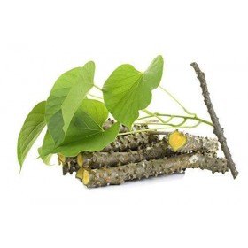 JadiButi Store Lot de 12 bâtonnets de margousier frais 15,2 cm de long emballés dans une boîte ondulée