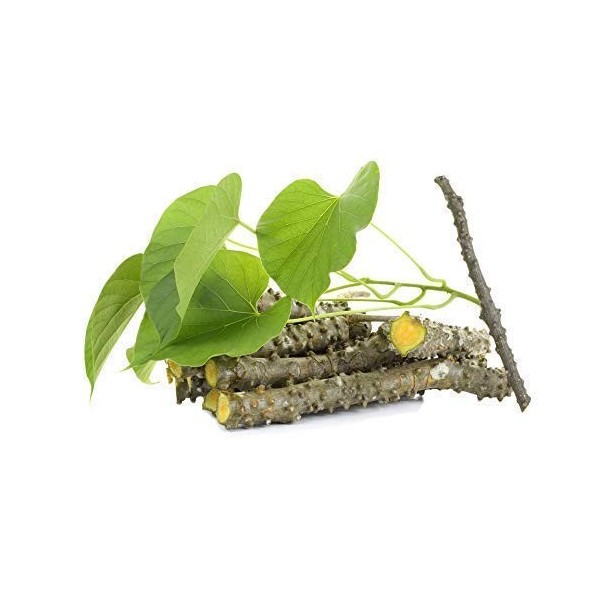 JadiButi Store Lot de 12 bâtonnets de margousier frais 15,2 cm de long emballés dans une boîte ondulée