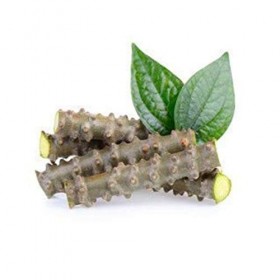 JadiButi Store Lot de 12 bâtonnets de margousier frais 15,2 cm de long emballés dans une boîte ondulée