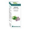 Nutricosmetics - Equisalud Bio Essential Oil Oregano - Qt:carvacrol