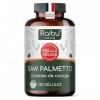 Saw Palmetto - Haute Teneur: 11000 mg de Palmier Nain par Gélule 20:1 , avec Graines de Courge - 120 Gélules de Palmier Nain