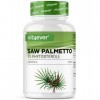 Extrait de palmier nain - 180 capsules de 500 mg dextrait - Premium : 5% phytostérols - 25 mg - Extrait de palmier nain haut