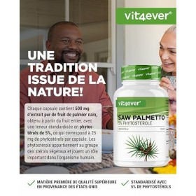 Extrait de palmier nain - 180 capsules de 500 mg dextrait - Premium : 5% phytostérols - 25 mg - Extrait de palmier nain haut