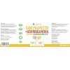 Alzuro Labs Saw Palmetto Palmier Nain & Ashwagandha | 500 mg extrait 4:1 et 20:1 | 120 vég capsules | soutien de la prost