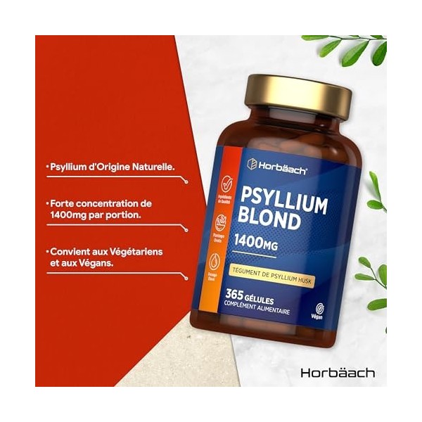 Psyllium Blond Gelules 1400 mg | 365 Psyllium Gelules Vegan | 6 Mois | Haute Dosage | Prébiotique naturel | Horbaach