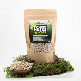 Gélules de psyllium bio RheinNatur - 450 unités