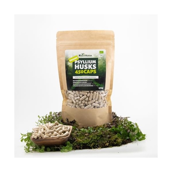 Gélules de psyllium bio RheinNatur - 450 unités