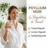 Poudre de Psyllium Noir Pure | 100% Graines de Plantago Indica | Riche en Fibres Solubles & Mucilage | Transit Intestinal Dig
