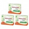 Psyllogel BUYFARMA PROMO PACK 3X 99% Pure Fibre de Psyllium Saveur Orange Sanguine Favorise la Régularité Intestinale 60 Sach
