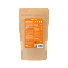 Rheinnatur Coquilles de graines de puces en poudre finement broyées | pour soutenir la digestion | 200 g Psyllium