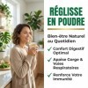 Reglisse en Poudre Baton de Reglisse Moulu 250g | Digestion Confort Digestif Immunité Défenses Naturelles Toux Voies Respirat