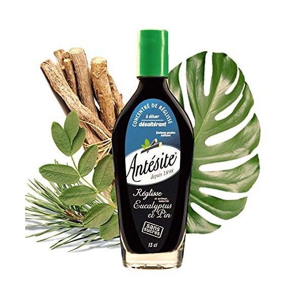 ANTESITE - Boisson à diluer dans leau réglisse, eucalyptus & pin