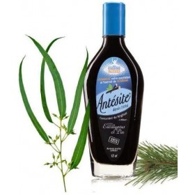 ANTESITE - Boisson à diluer dans leau réglisse, eucalyptus & pin