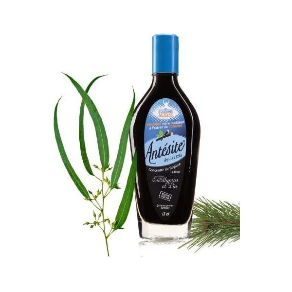 ANTESITE - Boisson à diluer dans leau réglisse, eucalyptus & pin