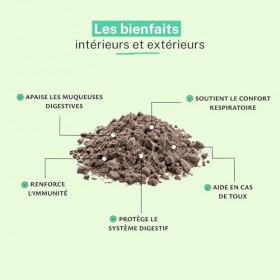 RUE DES PLANTES - Réglisse Naturelle Poudre 100g - Digestion et Bien-être Respiratoire