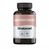 Shatavari - Vitalité & Équilibre - Extrait Concentré 500 mg – 60 Gélules Shatavari