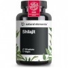Shilajit Pure – 120 Capsules Hautement Dosées – 1300mg par Dose Quotidienne – Mumijo Shilajit Original de Résine de lHimalay