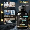 Shilajit Pur de l’Himalaya en Gélules Bio - Hautement Dosé 1000 mg – Extrait 5:1 à +75% d’Acide Fulvique – 120 Gélules Végan 