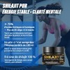Shilajit Pur – Énergie Naturelle 100% de lHimalaya – Résine Authentique, Riche en Acide Fulvique & Humique, +85 Minéraux & O