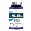 SHILAJIT - Shilajit PURE HIMALAYA | GRANIONS - Laboratoire Français | Immunité, Energie, Articulations, Concentration | Vitam