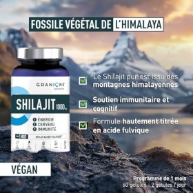 SHILAJIT - Shilajit PURE HIMALAYA | GRANIONS - Laboratoire Français | Immunité, Energie, Articulations, Concentration | Vitam
