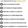 Shilajit grade OR 50g - Résine pure authentique | Qualité premium | Purifié | Récolté dans les montagnes de lHimalaya | Ay