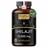 Shilajit Pur de l’Himalaya - 120 Gélules de Shilajit - Haute Concentration en Acide Fulvique et Acides Humiques - 1300 mg par