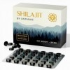 Comprimés De Shilajit Originel – 120 Comprimés, 400 Mg Par Portion – Résine De Shilajit Pure – Riche En Acides Fulviques Et H