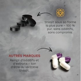 Comprimés De Shilajit Originel – 120 Comprimés, 400 Mg Par Portion – Résine De Shilajit Pure – Riche En Acides Fulviques Et H