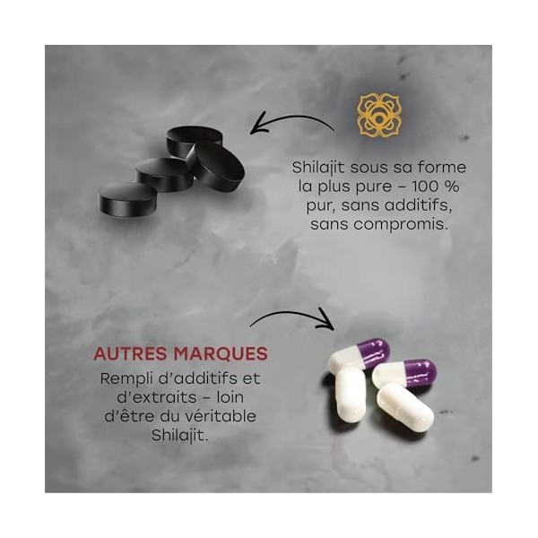 Comprimés De Shilajit Originel – 120 Comprimés, 400 Mg Par Portion – Résine De Shilajit Pure – Riche En Acides Fulviques Et H
