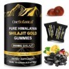 Gommes de Shilajit 3000mg pour hommes et femmes, Shilajit Gummies, 60 gommes
