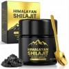 Shilajit Pure Himalaya Bio, 50g Shilajit Résine, Contient De 85 Minéraux Naturels Supplément, Naturel Sans Et Absorbez Effica