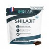 INOLAB Shilajit Pur de l’Himalaya 1000 mg, hautement dosé en acides fulviques 50% et humiques I Énergie, boost metabolisme 