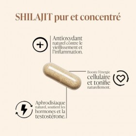 TAAJ | Shilajit en gélules | Pur de lHimalaya, 100% naturel | 70% dacides fulviques | + 85 minéraux et oligo-éléments | Ant