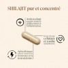 TAAJ | Shilajit en gélules | Pur de lHimalaya, 100% naturel | 70% dacides fulviques | + 85 minéraux et oligo-éléments | Ant